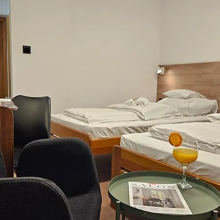 Protea 3* Boleslawiec (Lower Silesia)