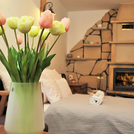 Protea Boleslawiec (Lower Silesia)