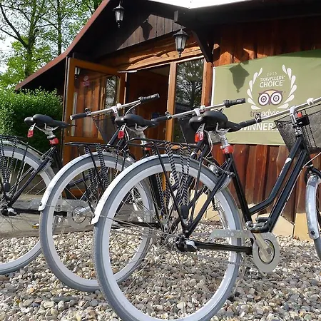 Protea Boleslawiec (Lower Silesia)