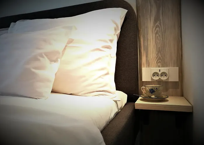 Protea בולסלאביש