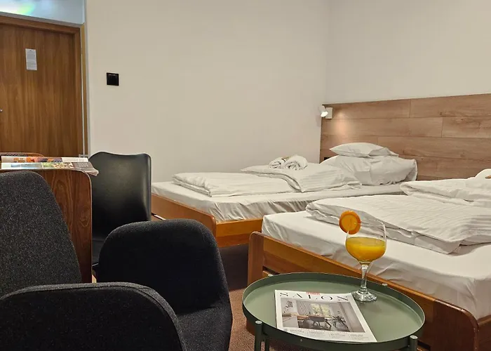 Protea 3* Boleslawiec (Lower Silesia)