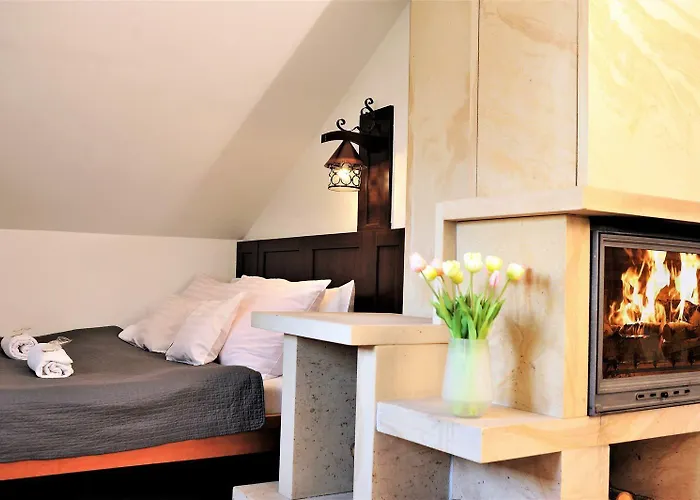 Protea בולסלאביש