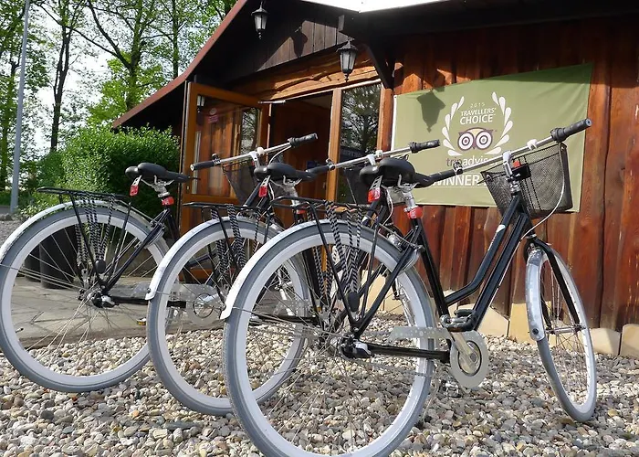 Protea Boleslawiec (Lower Silesia)